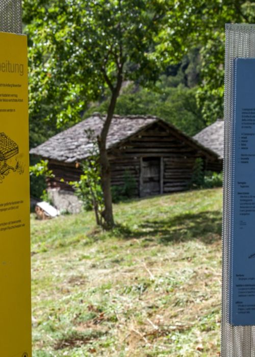 Percorso didattico