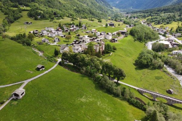 Stampa  & Borgonovo